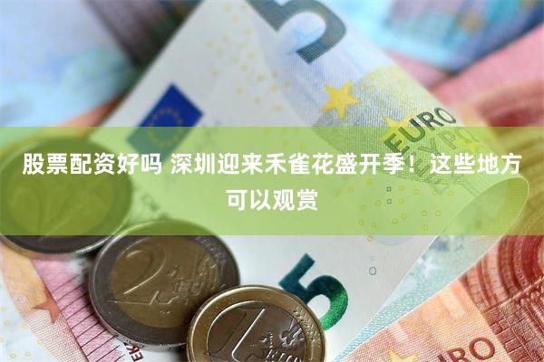 股票配资好吗 深圳迎来禾雀花盛开季！这些地方可以观赏