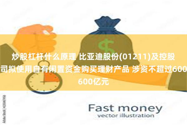 炒股杠杆什么原理 比亚迪股份(01211)及控股子公司拟使用自有闲置资金购买理财产品 涉资不超过600亿元