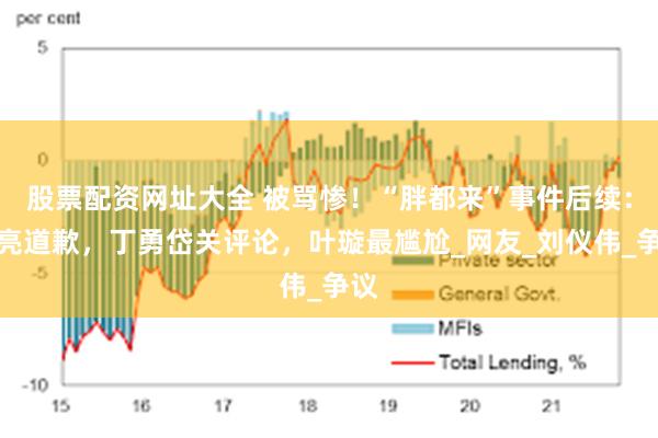 股票配资网址大全 被骂惨！“胖都来”事件后续：赵亮道歉，丁勇岱关评论，叶璇最尴尬_网友_刘仪伟_争议