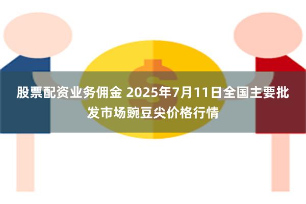 股票配资业务佣金 2025年7月11日全国主要批发市场豌豆尖价格行情