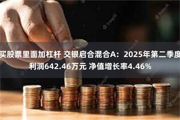 买股票里面加杠杆 交银启合混合A：2025年第二季度利润642.46万元 净值增长率4.46%