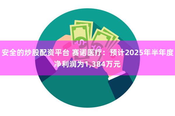 安全的炒股配资平台 赛诺医疗：预计2025年半年度净利润为1,384万元