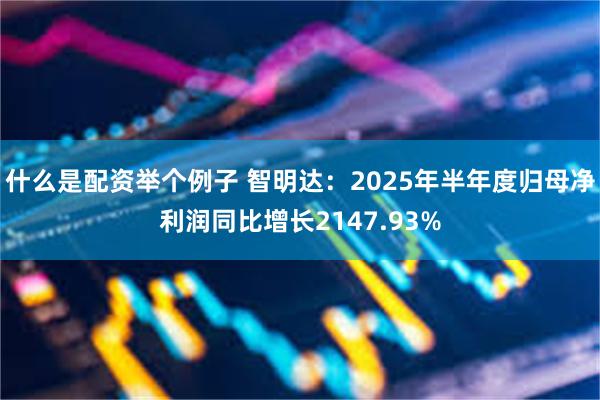 什么是配资举个例子 智明达：2025年半年度归母净利润同比增长2147.93%