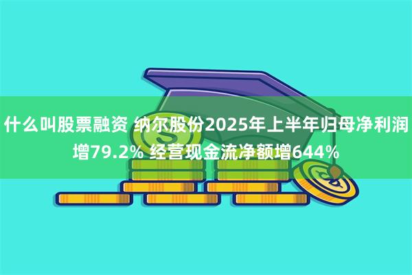 什么叫股票融资 纳尔股份2025年上半年归母净利润增79.2% 经营现金流净额增644%