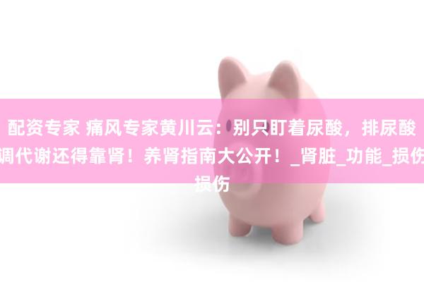 配资专家 痛风专家黄川云：别只盯着尿酸，排尿酸调代谢还得靠肾！养肾指南大公开！_肾脏_功能_损伤