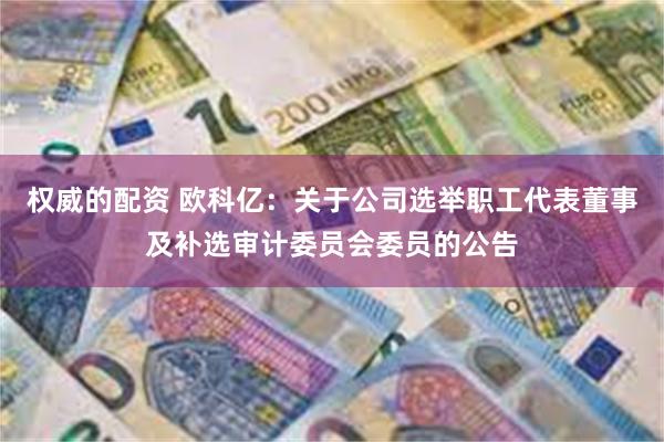 权威的配资 欧科亿：关于公司选举职工代表董事及补选审计委员会委员的公告