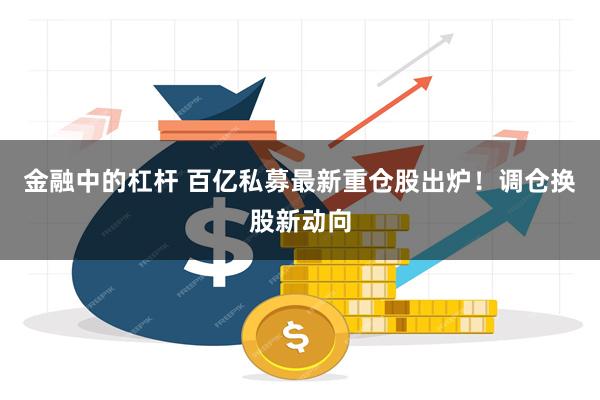 金融中的杠杆 百亿私募最新重仓股出炉！调仓换股新动向