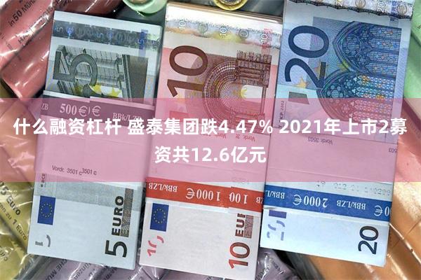 什么融资杠杆 盛泰集团跌4.47% 2021年上市2募资共12.6亿元